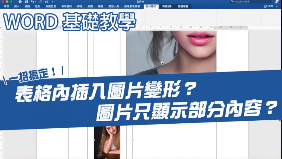 Word表格插入圖片就變形？插入多張圖片可以不用一張一張調整成相同大小？